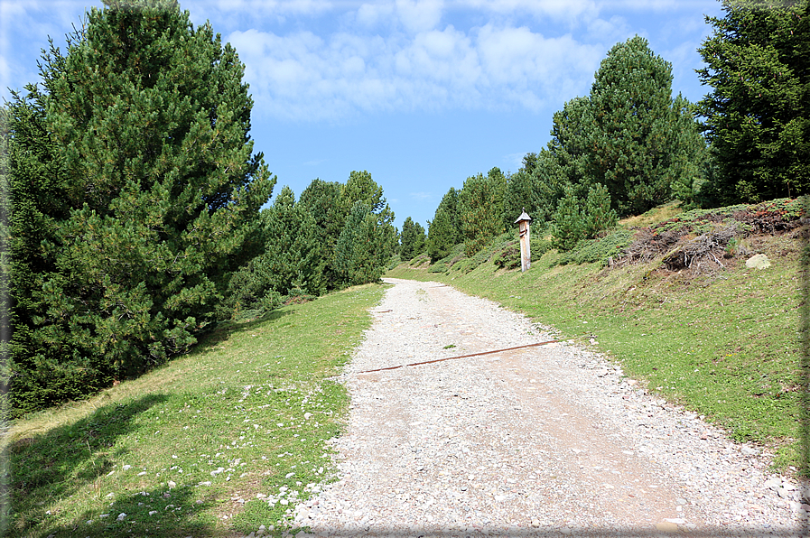 foto Alpe Rasciesa